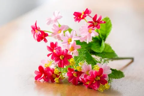 Flowers Stock Photos