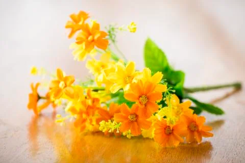 Flowers Stock Photos