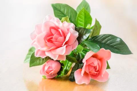 Flowers Stock Photos