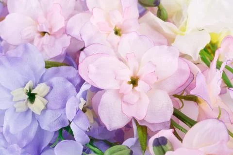 Flowers Stock Photos