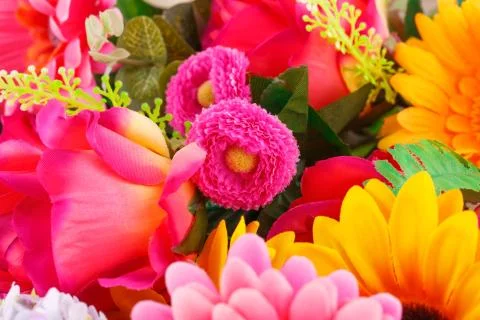 Flowers Stock Photos