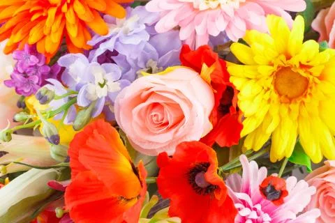Flowers Foto stock