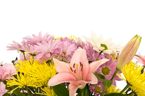Flowers Stock Photos