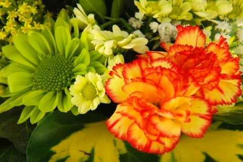 Flowers Foto stock