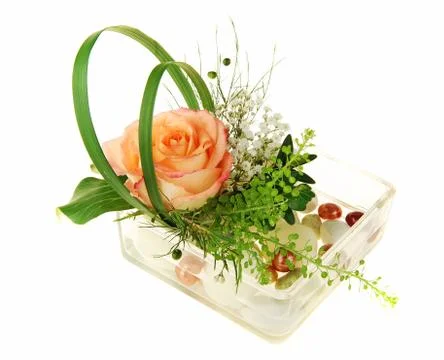 Flowers Foto stock
