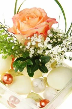 Flowers Foto stock
