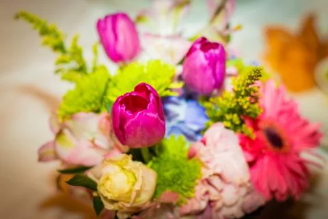 Flowers Stock Photos