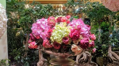 Flowers Stock Photos