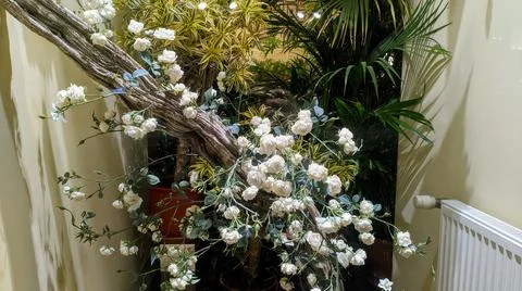 Flowers Stock Photos