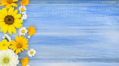 Flowers Stock Photos