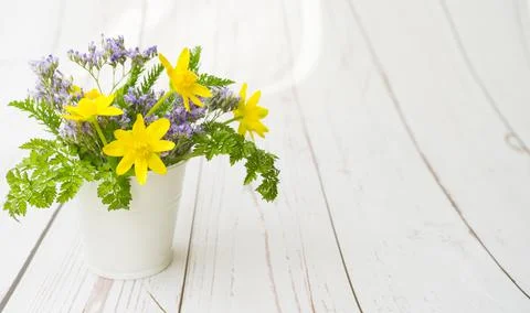 Flowers Stock Photos