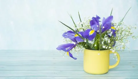 Flowers Stock Photos