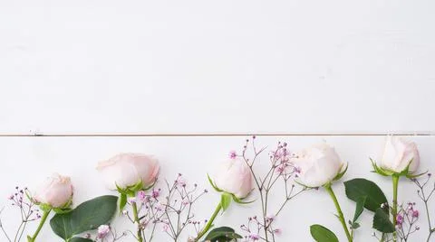 Flowers Stock Photos