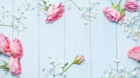 Flowers Stock Photos