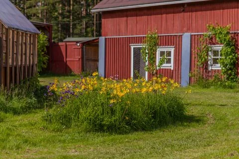 Flowers Stock Photos