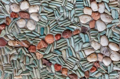 Flowers Stock Photos