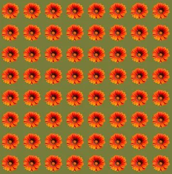Flowers Stock Photos