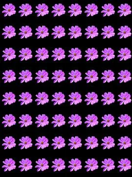 Flowers Stock Photos