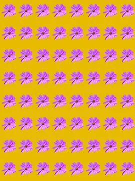 Flowers Stock Photos