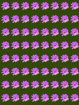 Flowers Stock Photos
