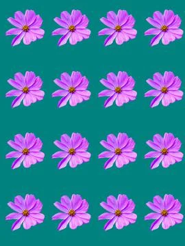 Flowers Stock Photos