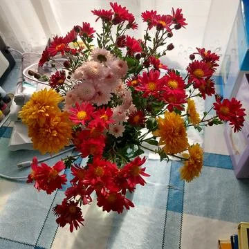 Flowers 写真素材