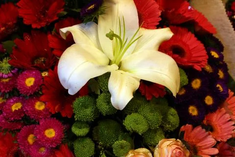 Flowers Stock Photos