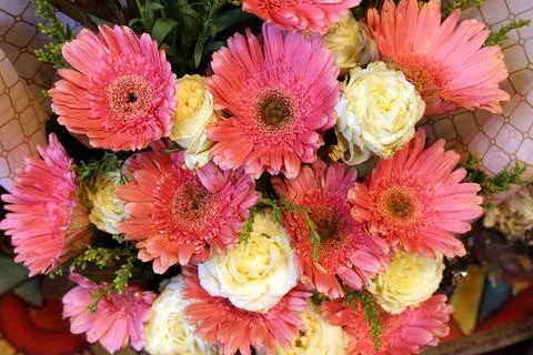 Flowers Stock Photos
