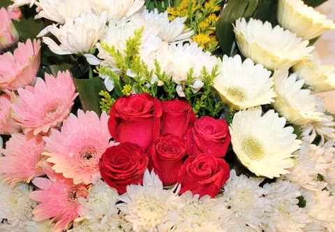 Flowers Stock Photos