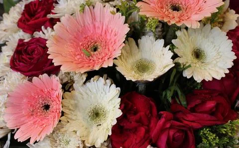 Flowers Stock Photos