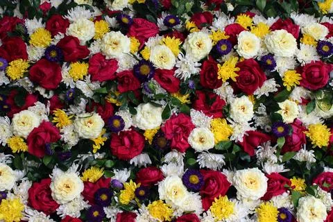 Flowers Stock Photos