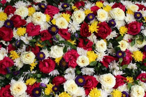 Flowers Stock Photos