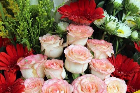 Flowers Stock Photos