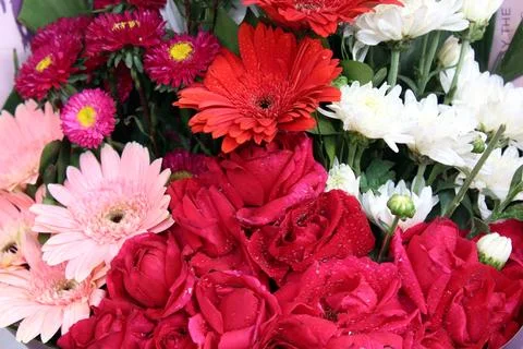 Flowers Stock Photos