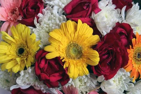 Flowers Stock Photos