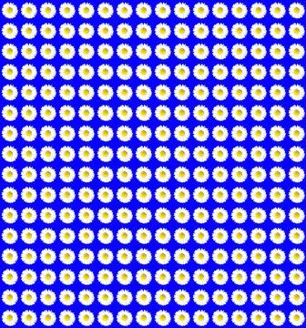 Flowers Stock Photos