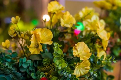 Flowers Stock Photos