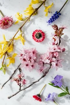 Flowers Stock Photos