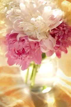 Flowers Stock Photos