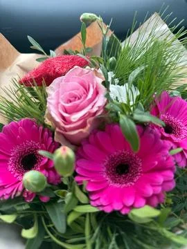 Flowers 스톡 사진