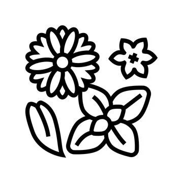 Flowers phytotherapy line icon vector illustration Stock Illustration