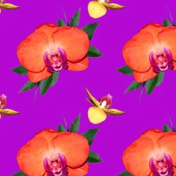 Flowers on a pink background. Seamless pattern with orange Orchid flowers and Stock Illustration
