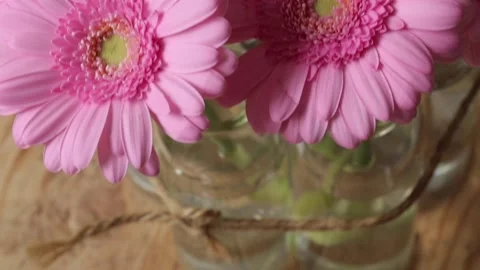 Flowers pink big Stock Footage 142589802