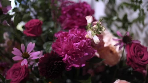 Flowers Pink Video stock 251542125