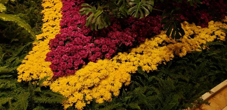 Flowers at a Point Foto stock