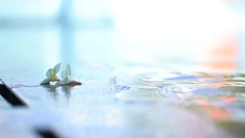 Flowers by the pool, waves impact. Stock Footage 113550465