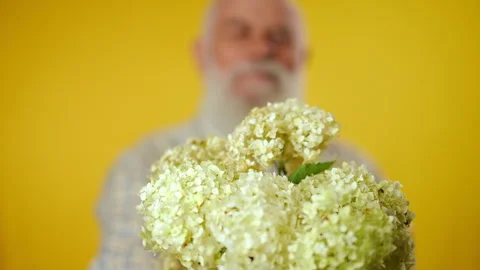 Flowers. Portrait of an elderly gray-haired bearded man in a shirt holding a Stock Footage 261763472