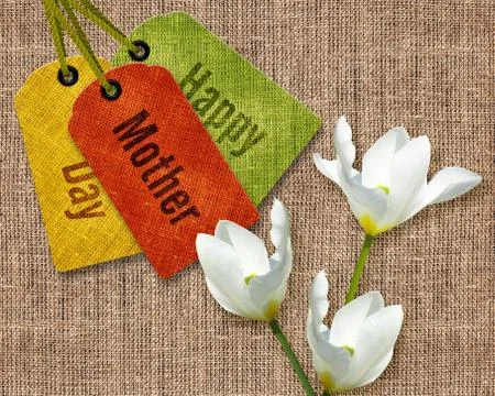 Flowers postcard Stock Photos