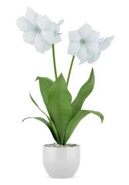 Flowers in pot isolated on white background Stock Illustration