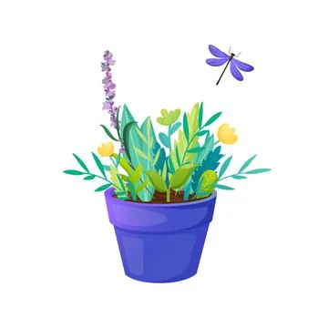 Flowers in a pot isolated on white. Stock Illustration